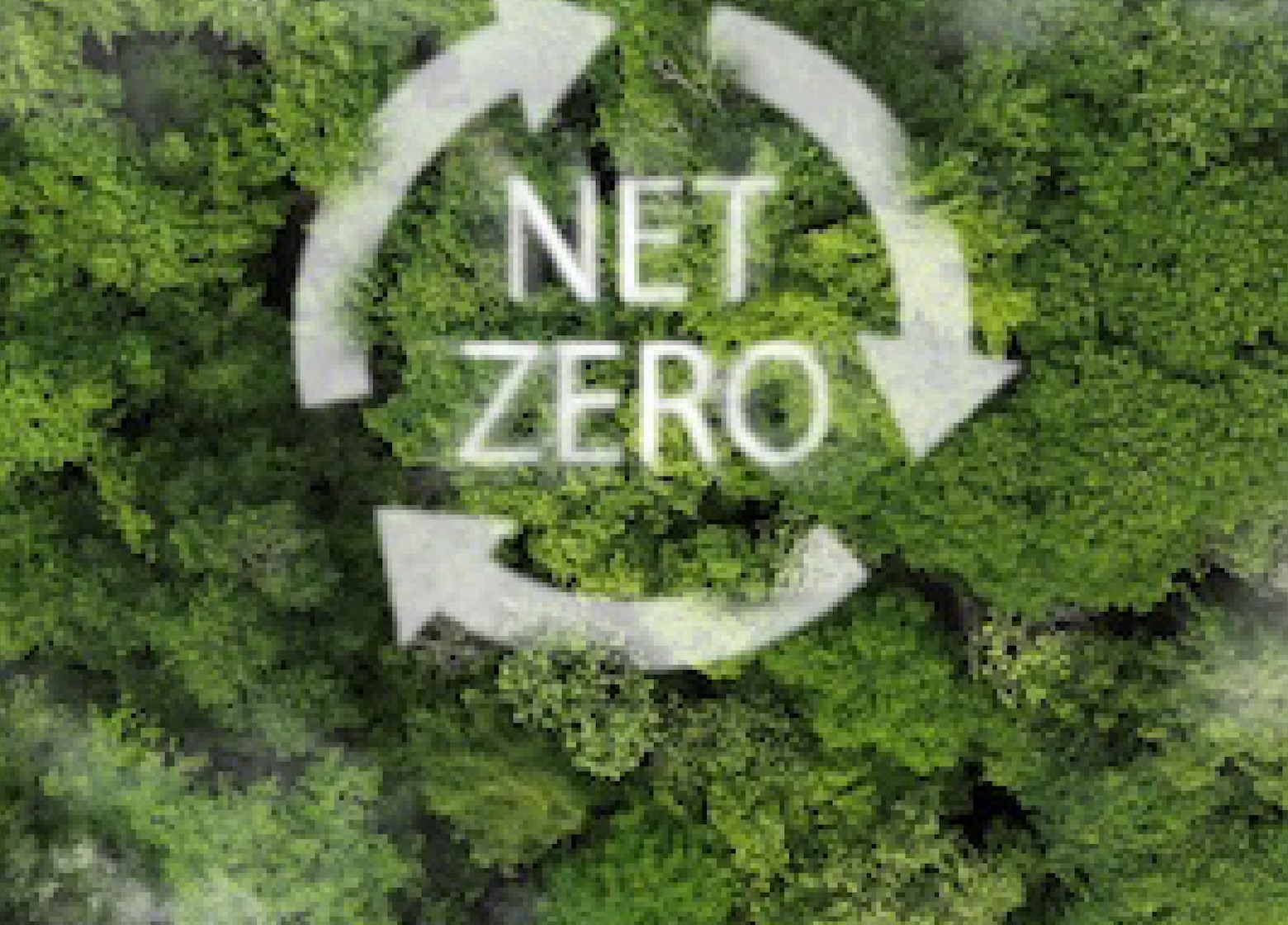 Advanced Analytical Solutions For The Transition To Net-Zero 2050