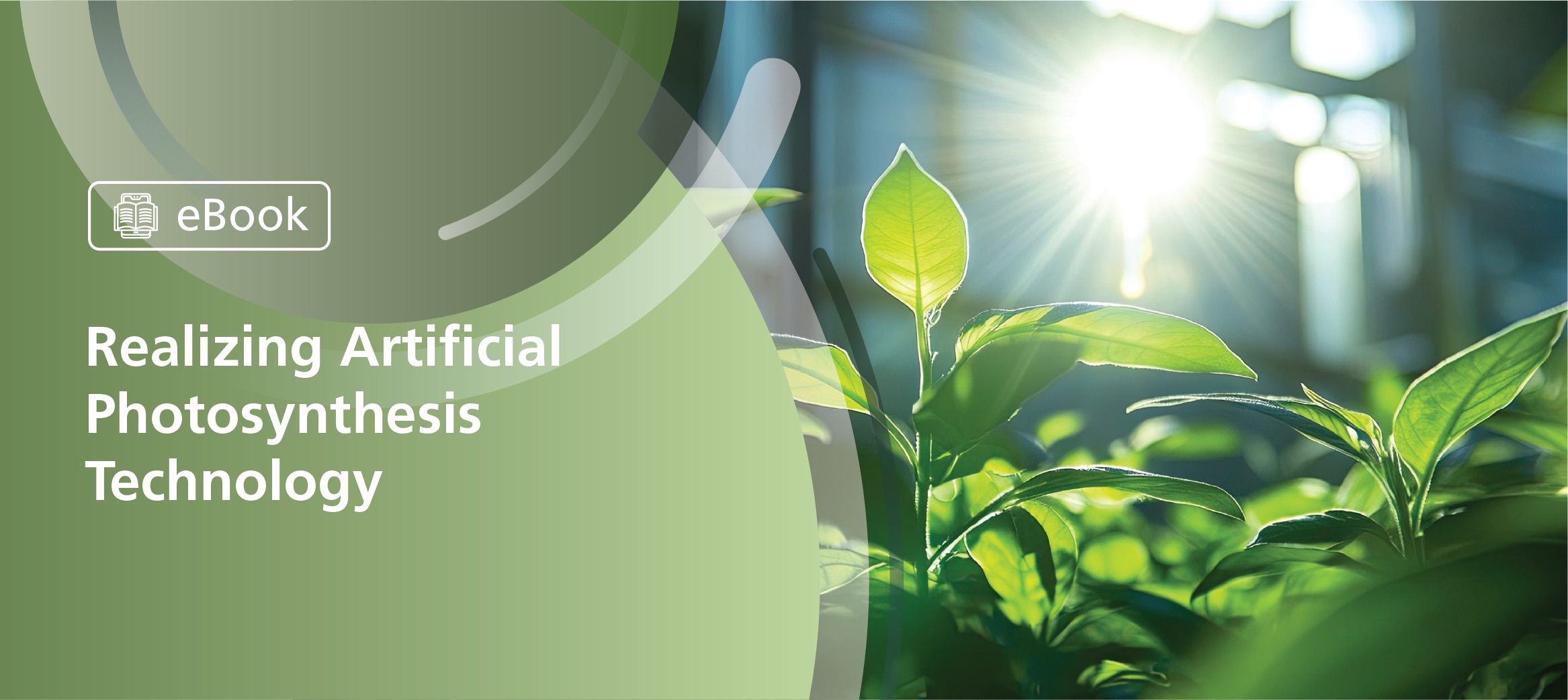 Analysis Of Trialkyl Phosphates As Markers For Lithium Battery Aging