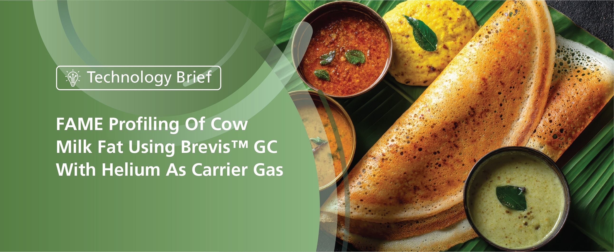 Stay Connected Newsletter Food Issue 16