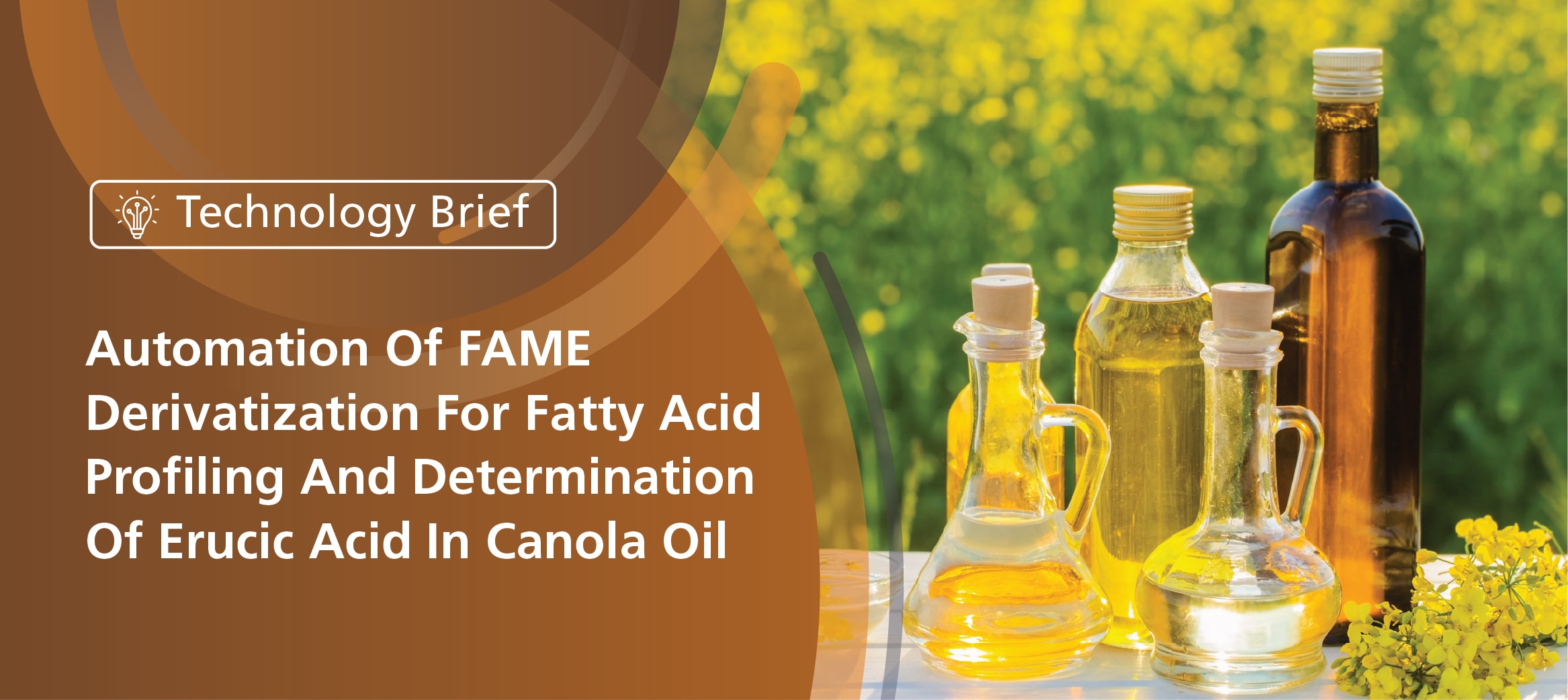 Automation Of FAME Derivatization For Fatty Acid Profiling And Determination Of Erucic Acid In Canola Oil Using AOC-6000 Plus