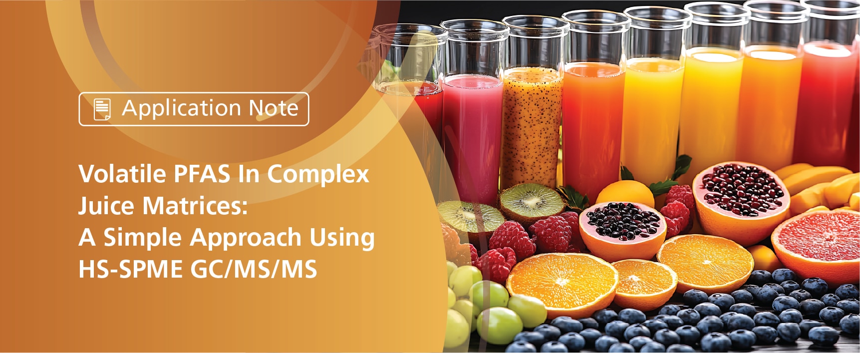 Stay Connected Newsletter Food Issue 17