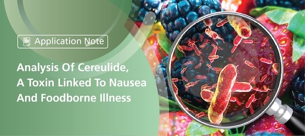 Analysis Of Cereulide, A Toxin Linked To Nausea And Foodborne Illness