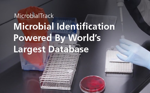 Microbial Identification | Shimadzu