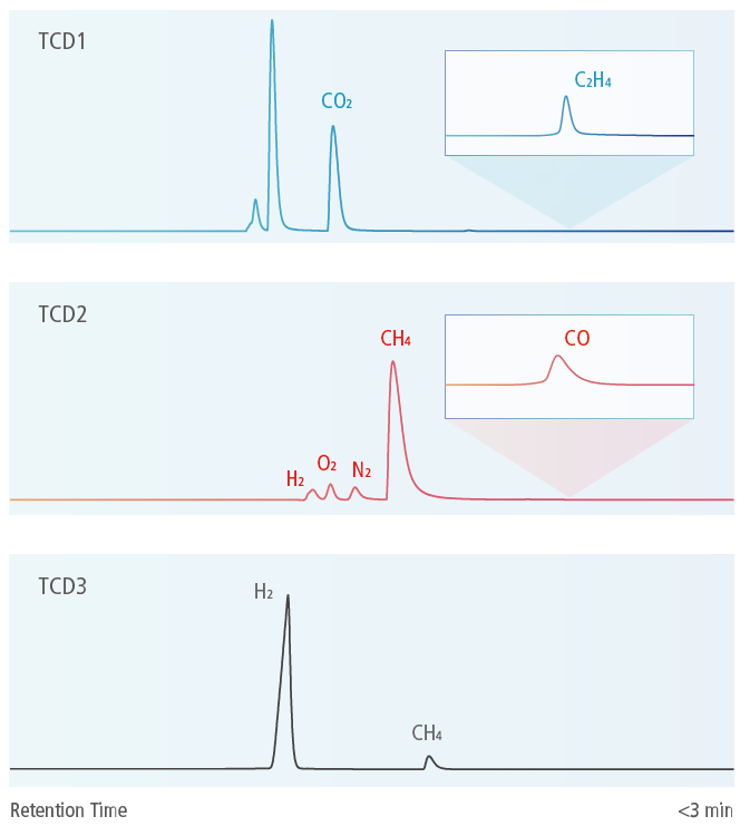 Simultaneous Analysis Of Inorganic And Organic Gases In Hydrogen