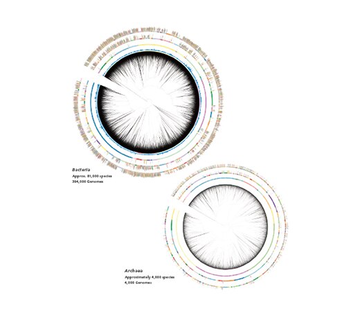 Database Built From Genomic Data