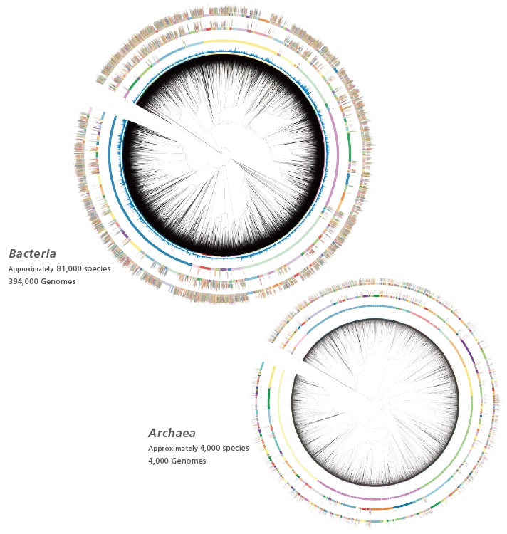 Database Built From Genomic Data