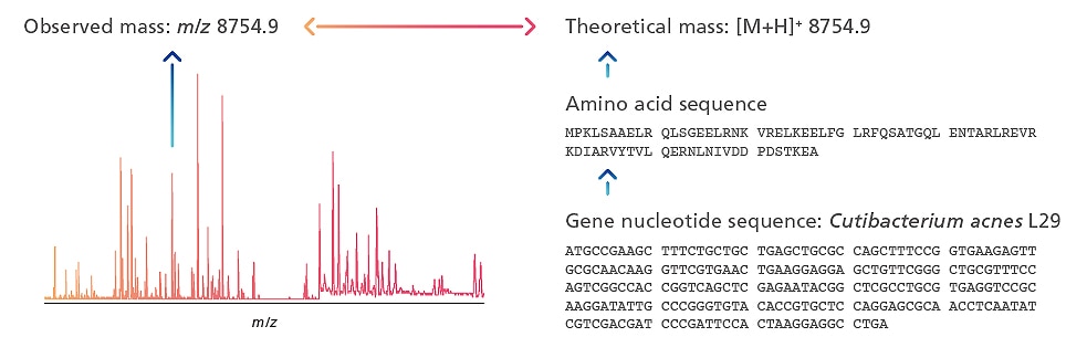 Proteomics-Based Identification