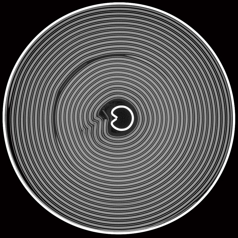 Cross Sectional Image FOV = ø18.4 mm