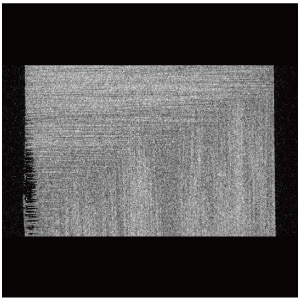 Previous Cross-Sectional Image