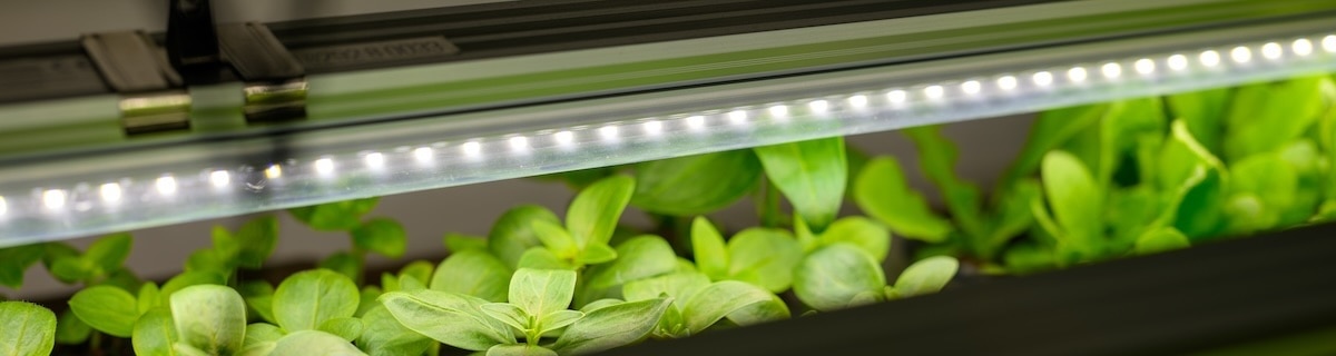 Artificial Photosynthesis
