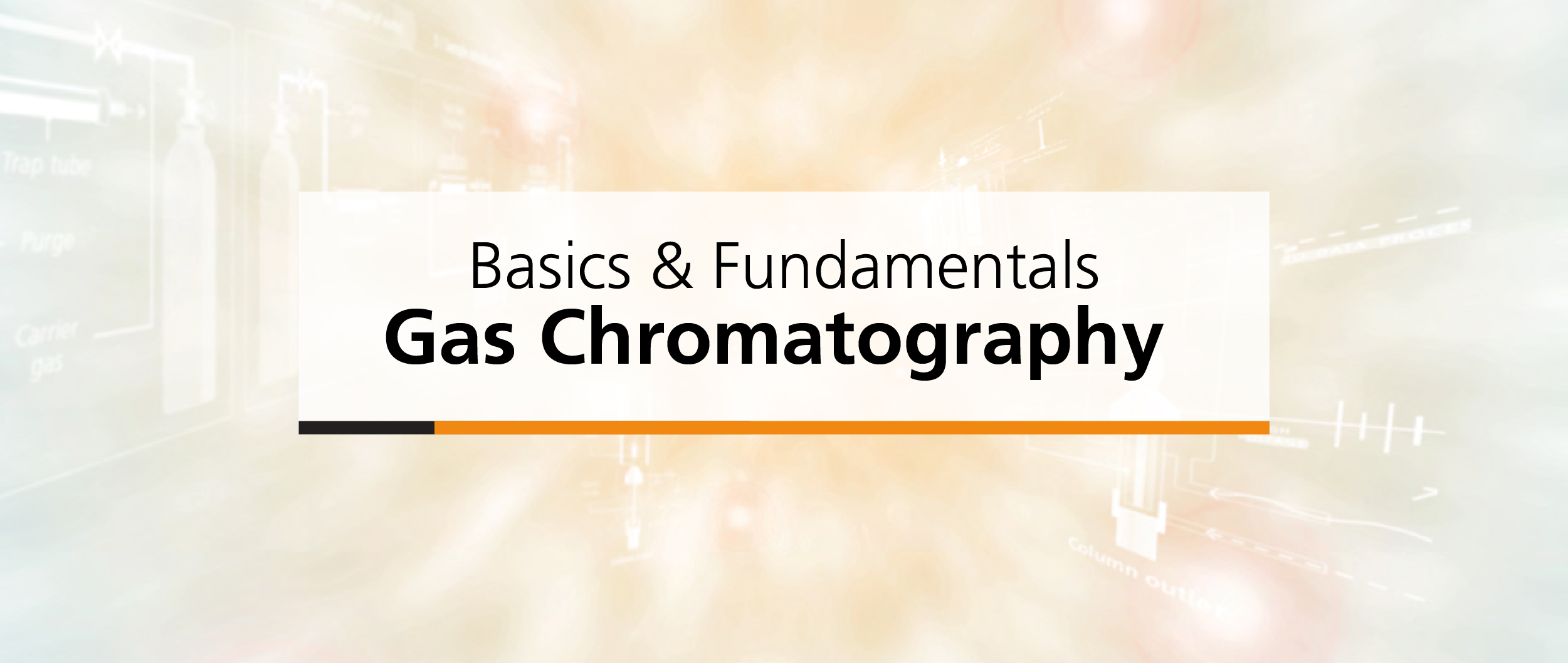 Basics & Fundamentals Gas Chromatography