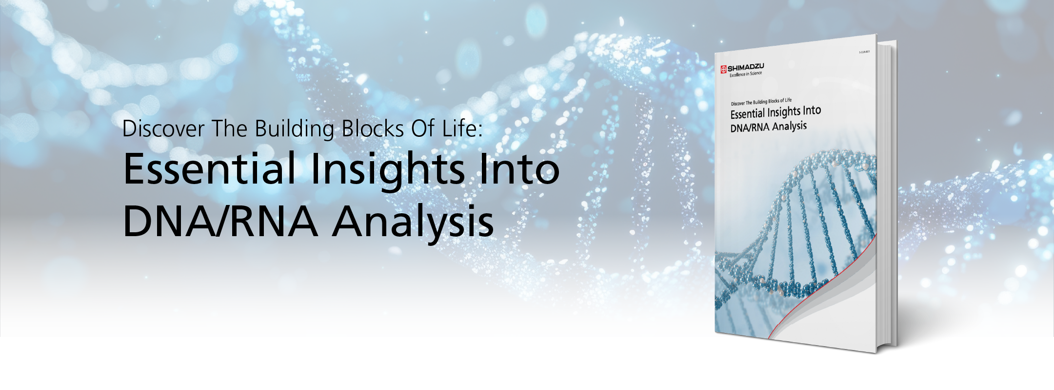 Essential Insights Into DNA/RNA Analysis