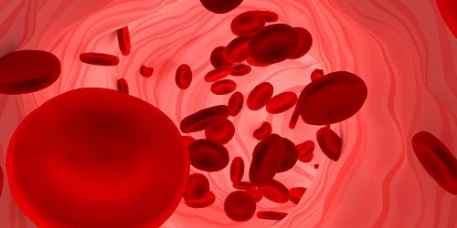 Blood - Related Information : Shimadzu (Asia Pacific)