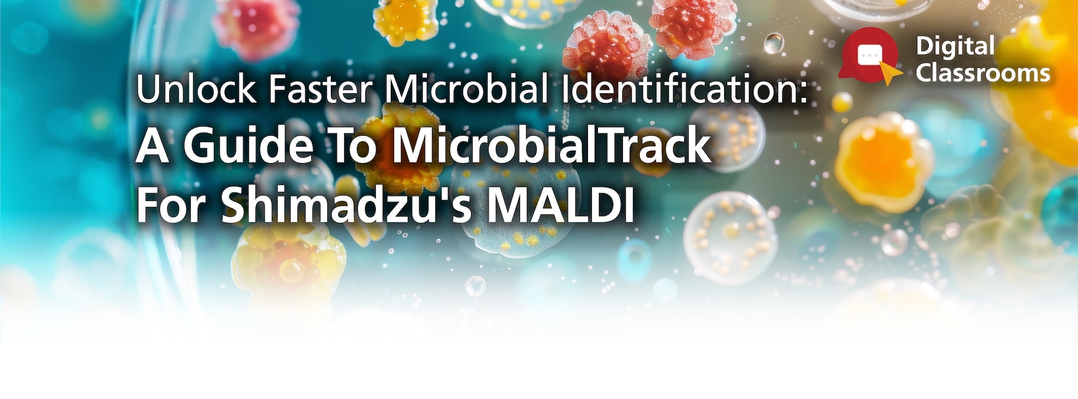Microbial Identification | Shimadzu