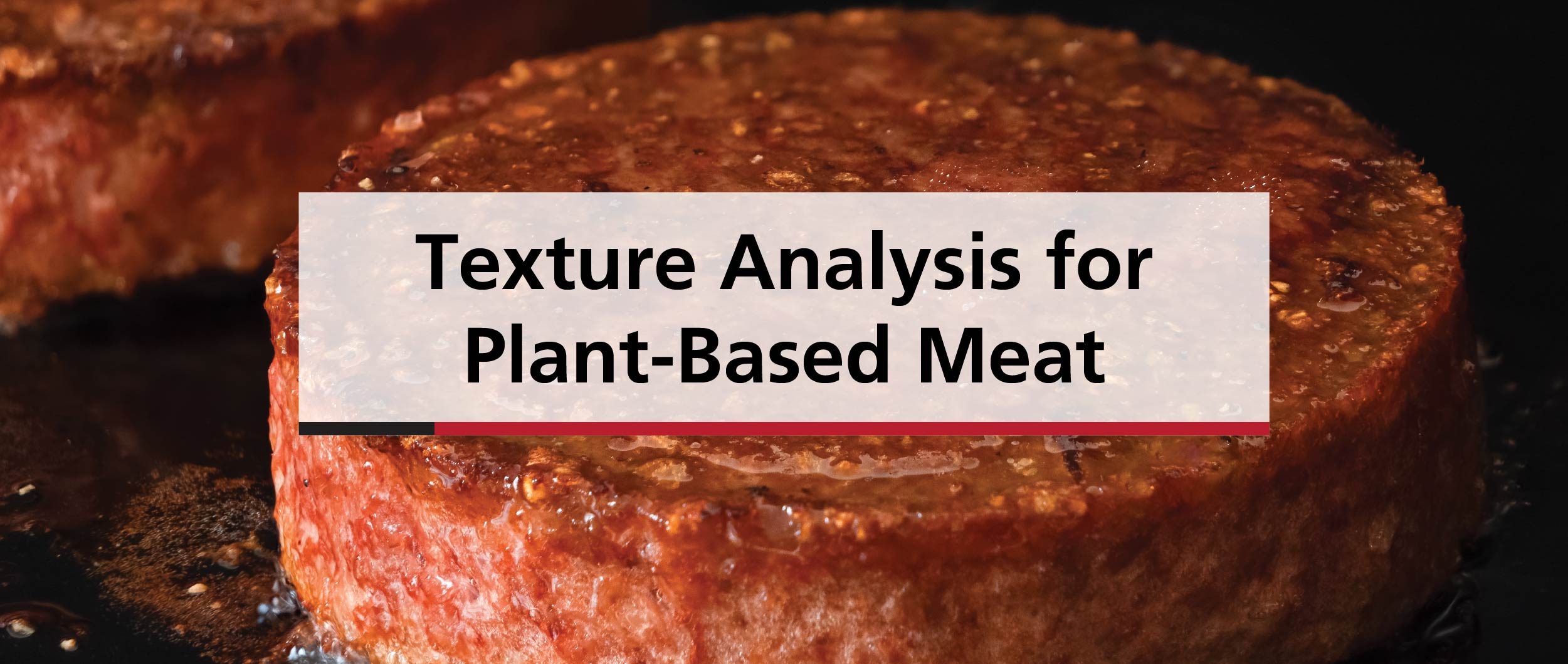 Texture Analysis for Plant-Based Meat