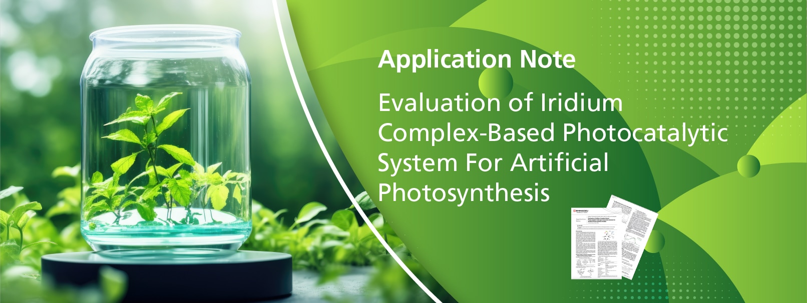 Evaluation of Iridium Complex-Based Photocatalytic System For Artificial Photosynthesis 