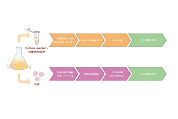 Analysis of Intracellular and Extracellular Metabolites in One Method
