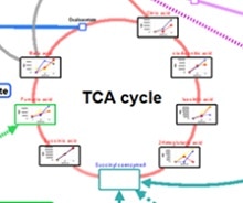 Multi-omics Analysis Package Supports Data Analysis