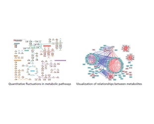 Intestinal Flora Research