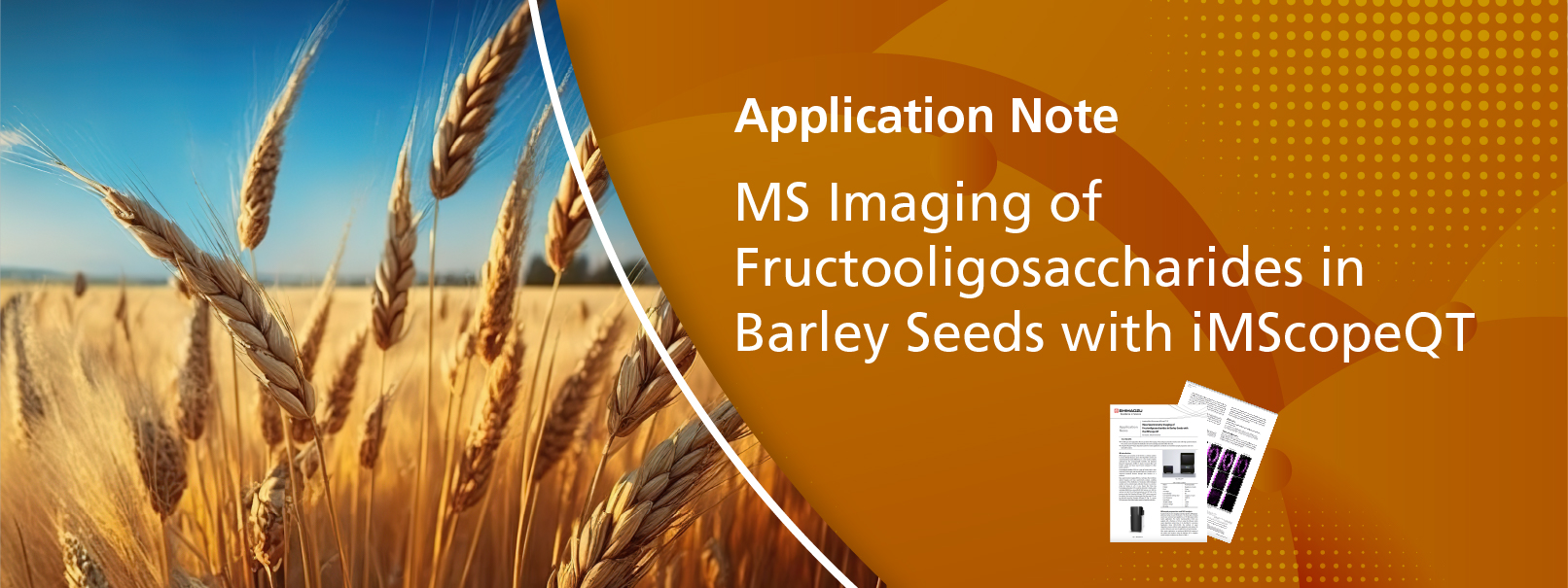 MS Imaging of Fructooligosaccharides in Barley Seeds with iMScopeQT