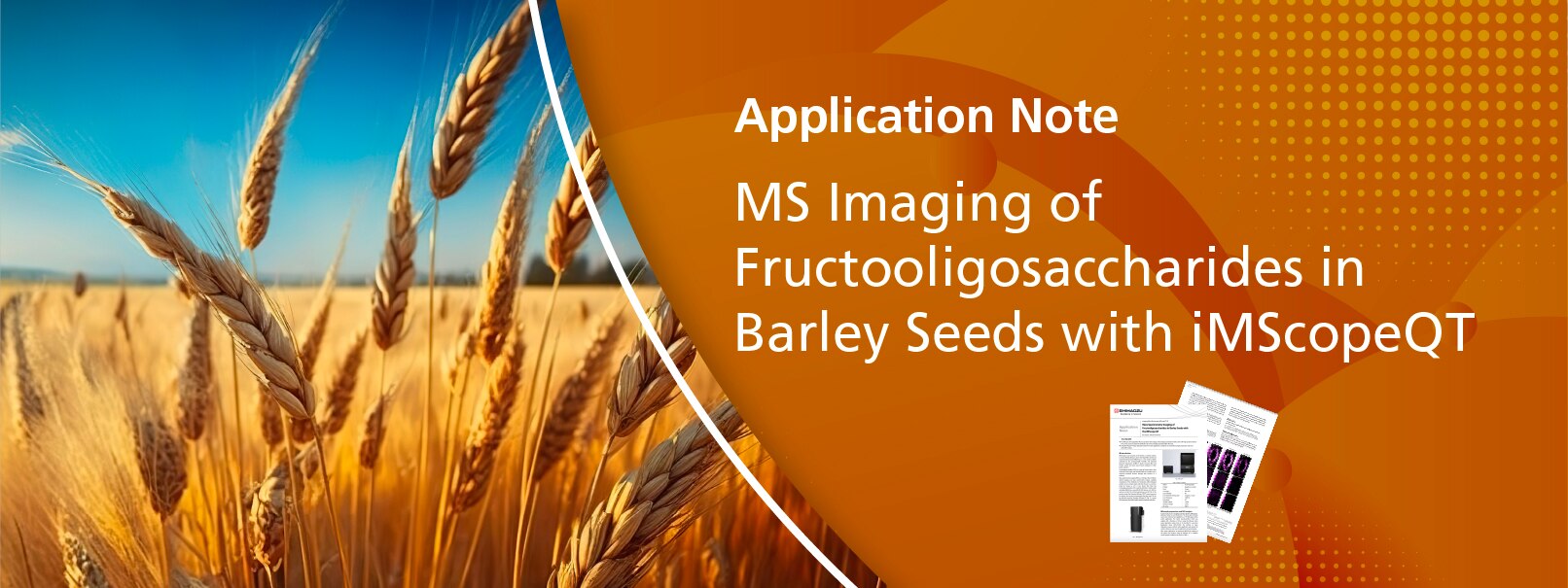 MS Imaging of Fructooligosaccharides in Barley Seeds with iMScopeQT