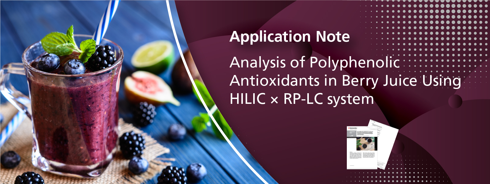 Analysis of Polypheonolic Antioxidants in Berry Juice Using HILIC x RP-LC System