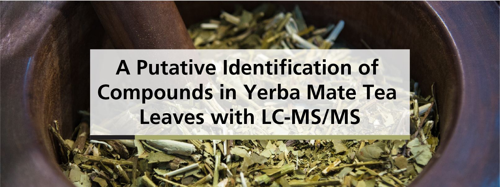 A Putative Identification of Compounds in Yerba Mate Tea Leaves with LC-MS/MS
