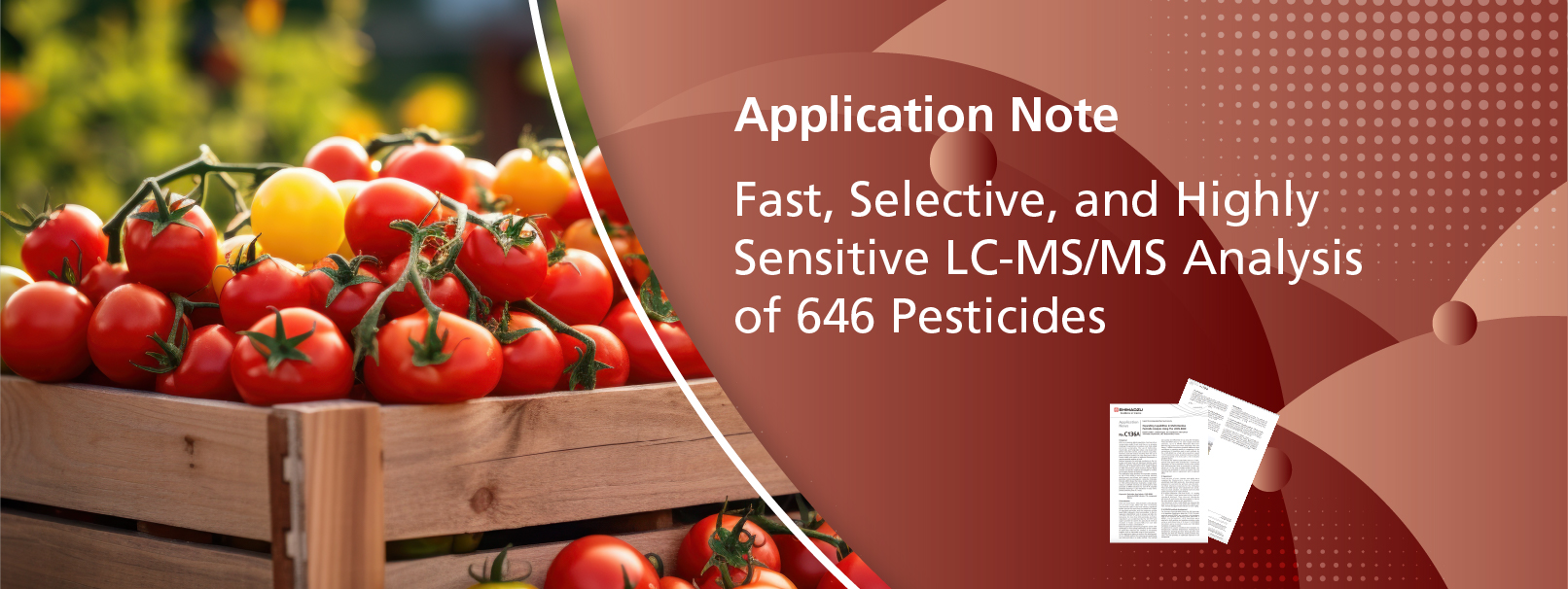 Fast, Selective, and Highly Sensitive LC-MS/MS Analysis of 646 Pesticides