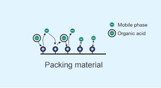 Release of Shim-pack Ion exchange & Size exclusion LC Column Series