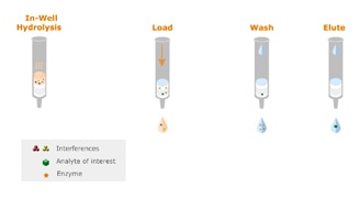 In-Well Hydrolysis of Urine Samples