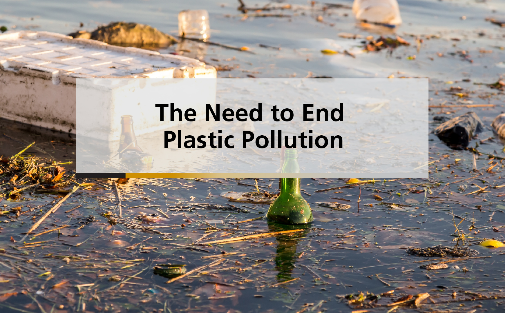 The Need to End Plastic Pollution
