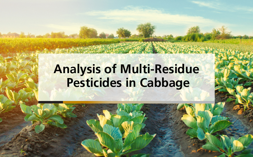 Analysis of Multi-Residue Pesticides in Cabbage