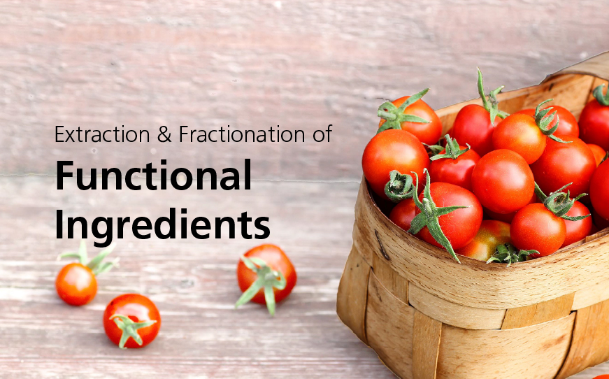 Extraction & Fractionation of Functional Ingredients