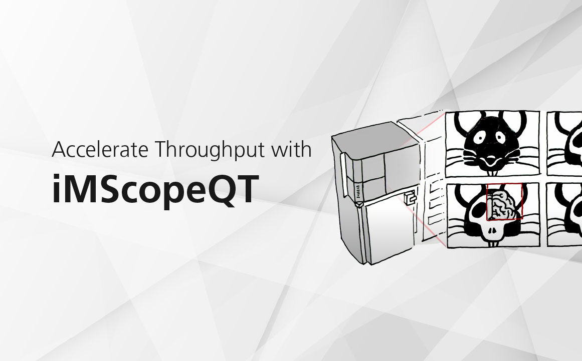 Accelerate Throughput with iMScopeQT