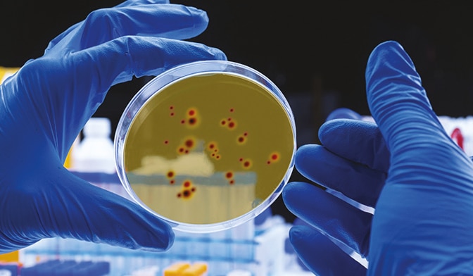 BPCL Service Capabilities, Protein Characterization, Isoform and Purity Analysis